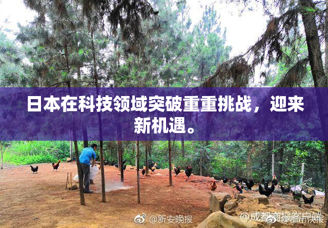 日本在科技领域突破重重挑战，迎来新机遇。
