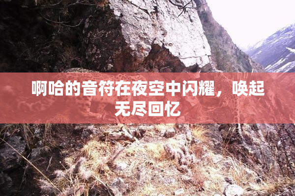 啊哈的音符在夜空中闪耀，唤起无尽回忆
