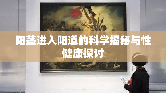 阳茎进入阳道的科学揭秘与性健康探讨