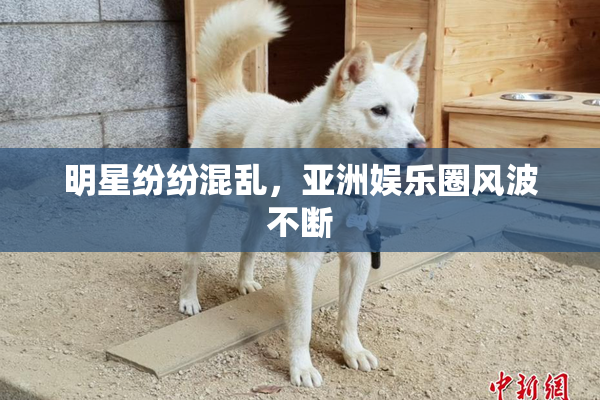明星纷纷混乱，亚洲娱乐圈风波不断