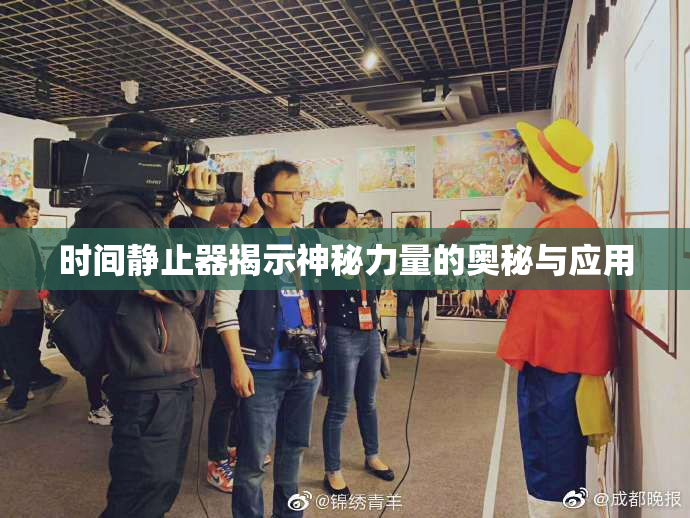 时间静止器揭示神秘力量的奥秘与应用