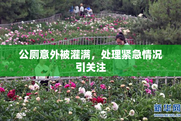 公厕意外被灌满，处理紧急情况引关注