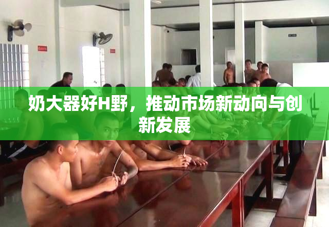 奶大器好H野，推动市场新动向与创新发展