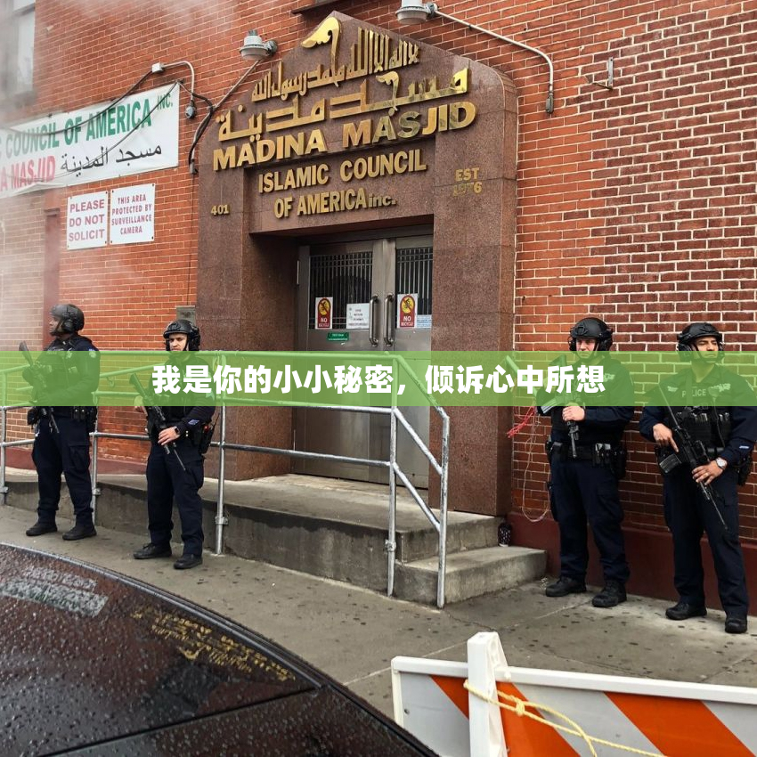 我是你的小小秘密，倾诉心中所想