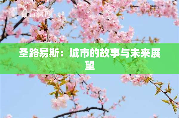 圣路易斯：城市的故事与未来展望