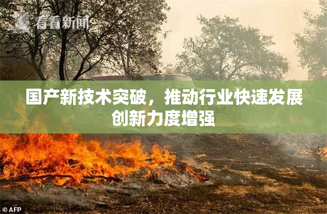 国产新技术突破，推动行业快速发展创新力度增强