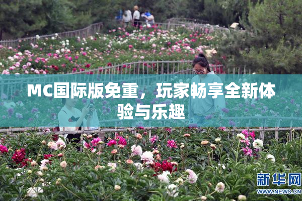 MC国际版免重，玩家畅享全新体验与乐趣