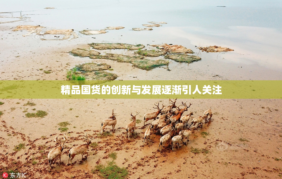 精品国货的创新与发展逐渐引人关注