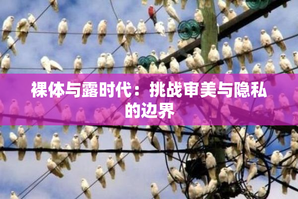 裸体与露时代：挑战审美与隐私的边界