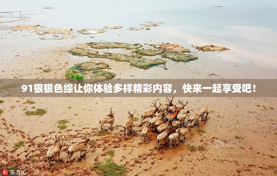 91狠狠色综让你体验多样精彩内容，快来一起享受吧！