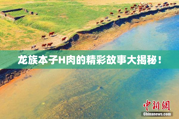 龙族本子H肉的精彩故事大揭秘！