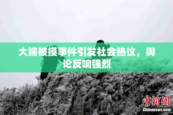 大姨被摸事件引发社会热议，舆论反响强烈