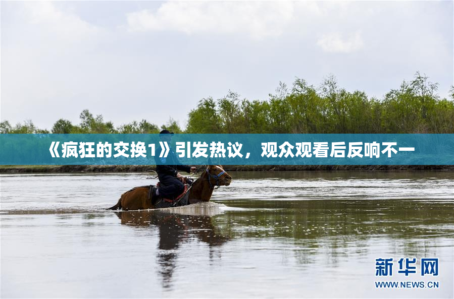 《疯狂的交换1》引发热议，观众观看后反响不一