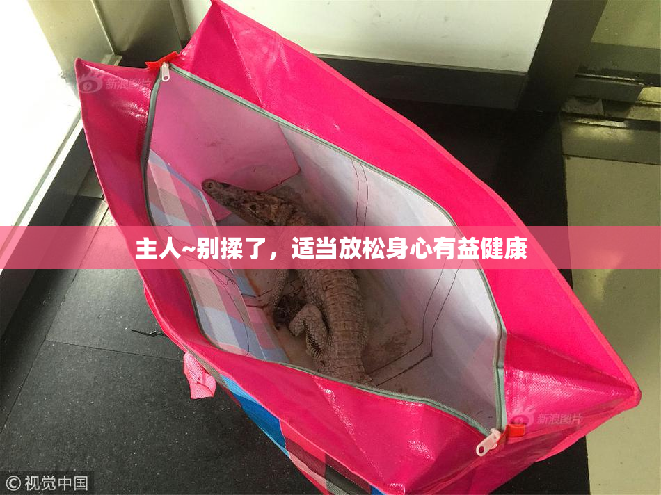主人~别揉了，适当放松身心有益健康