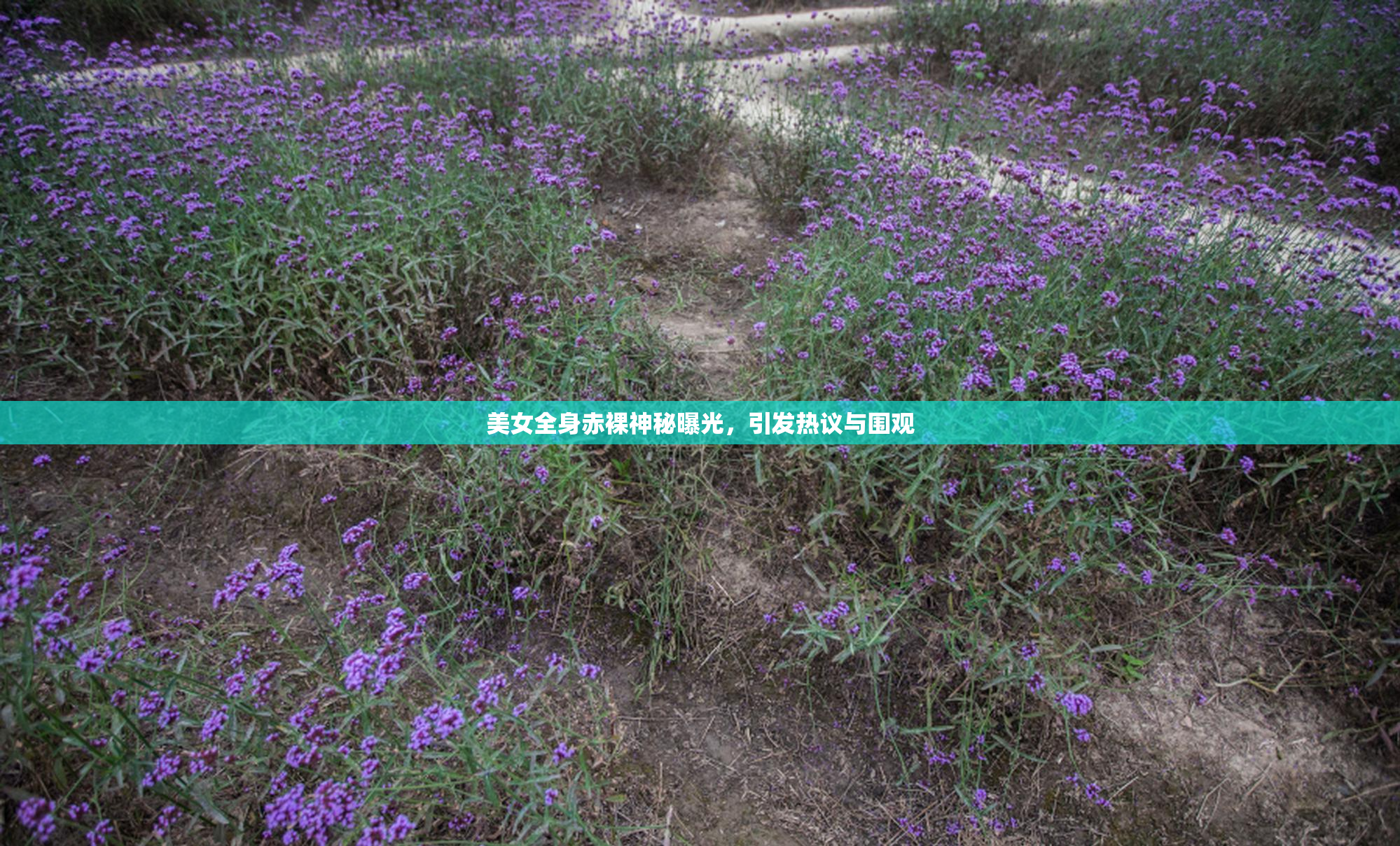 美女全身赤裸神秘曝光，引发热议与围观