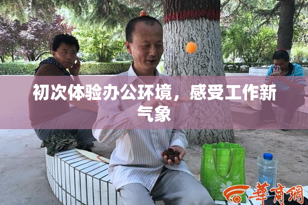 初次体验办公环境，感受工作新气象