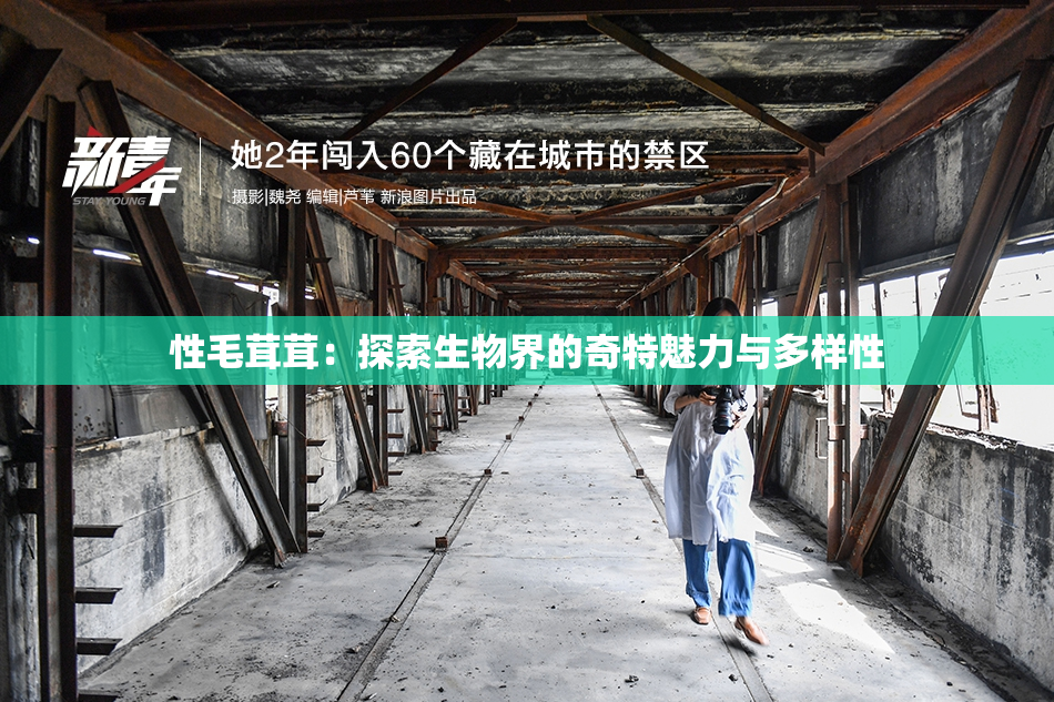 性毛茸茸：探索生物界的奇特魅力与多样性