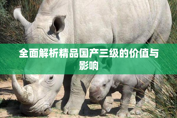 全面解析精品国产三级的价值与影响