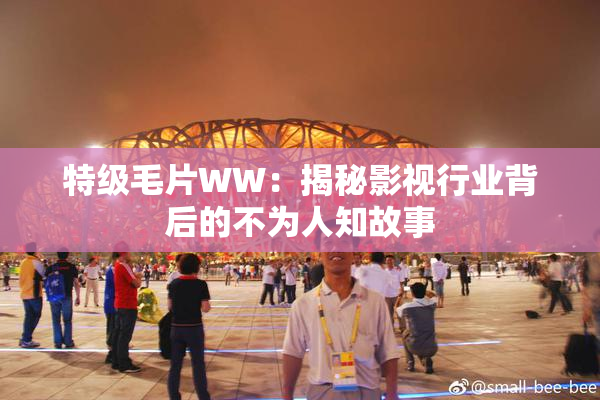特级毛片WW：揭秘影视行业背后的不为人知故事