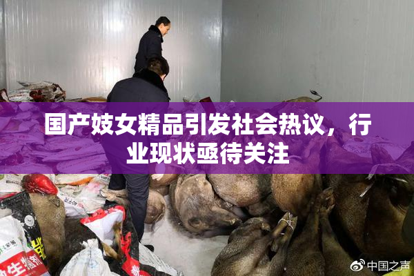 国产妓女精品引发社会热议，行业现状亟待关注