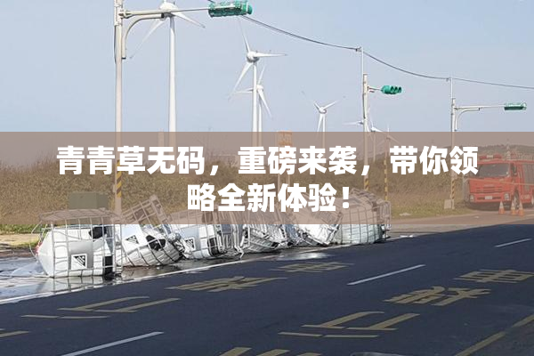 青青草无码，重磅来袭，带你领略全新体验！