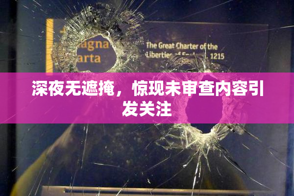 深夜无遮掩，惊现未审查内容引发关注