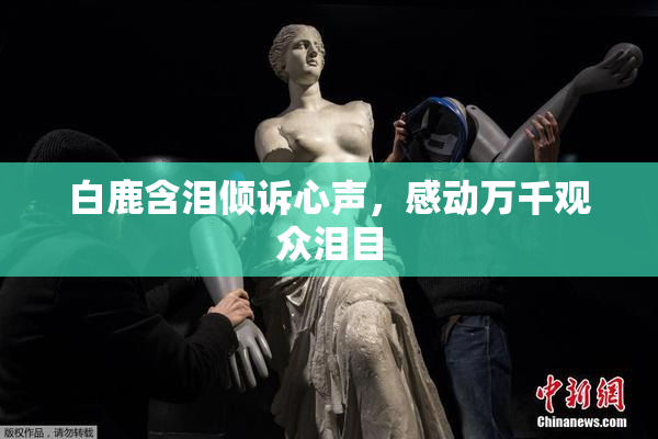 白鹿含泪倾诉心声，感动万千观众泪目