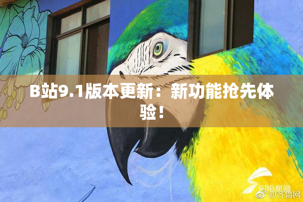 B站9.1版本更新：新功能抢先体验！