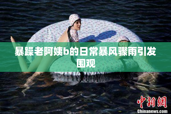 暴躁老阿姨b的日常暴风骤雨引发围观