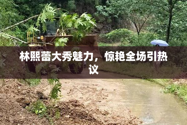林熙蕾大秀魅力，惊艳全场引热议