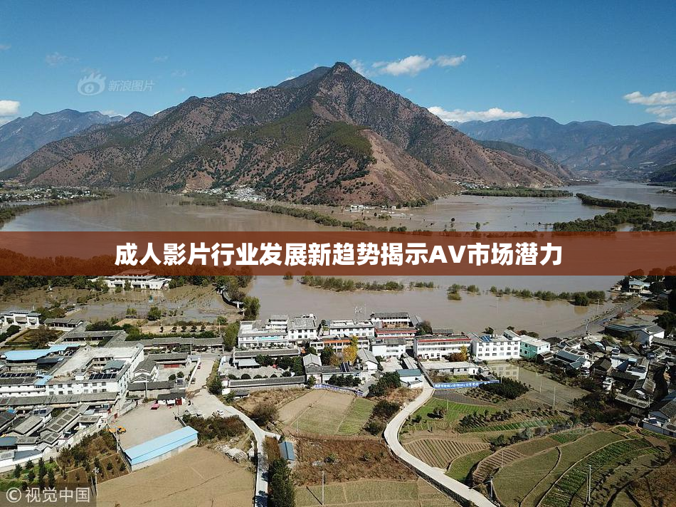 成人影片行业发展新趋势揭示AV市场潜力