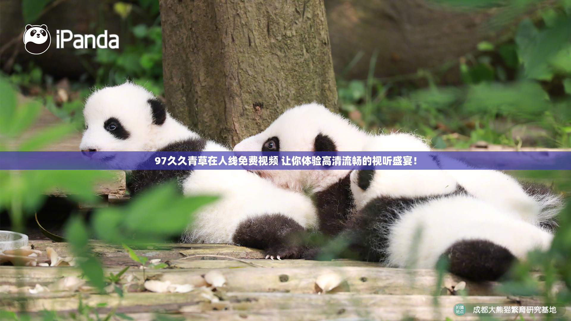 97久久青草在人线免费视频 让你体验高清流畅的视听盛宴！