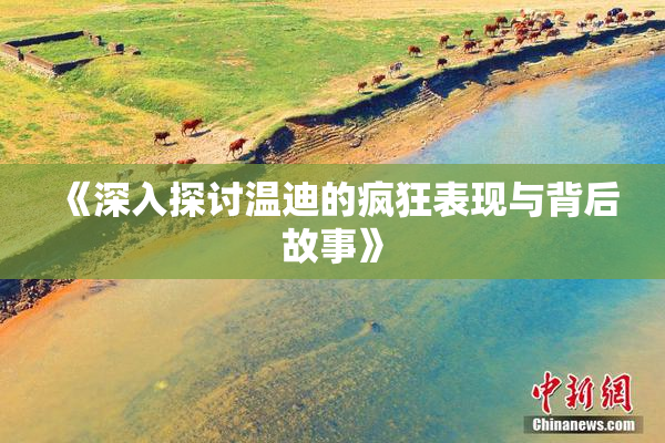《深入探讨温迪的疯狂表现与背后故事》