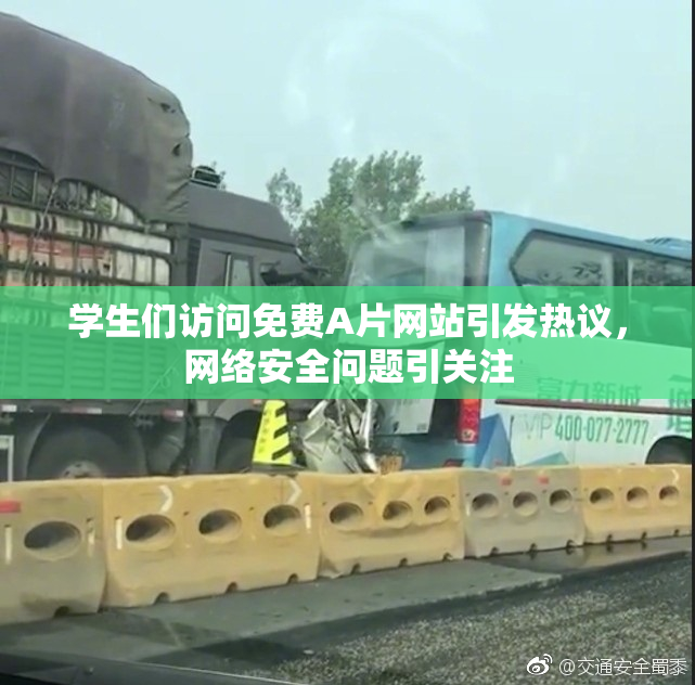 学生们访问免费A片网站引发热议，网络安全问题引关注