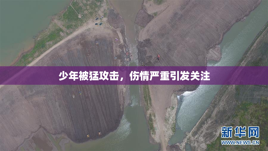 少年被猛攻击，伤情严重引发关注