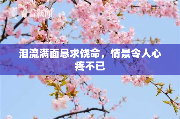 泪流满面恳求饶命，情景令人心疼不已