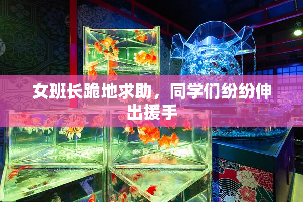 女班长跪地求助，同学们纷纷伸出援手