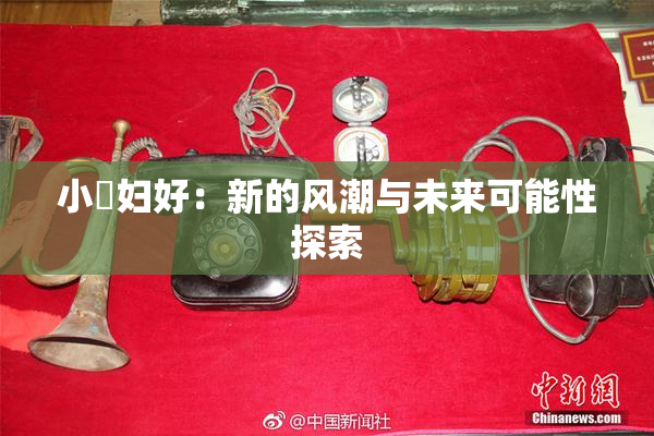 小婬妇好：新的风潮与未来可能性探索