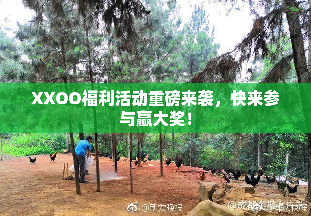 XXOO福利活动重磅来袭，快来参与赢大奖！