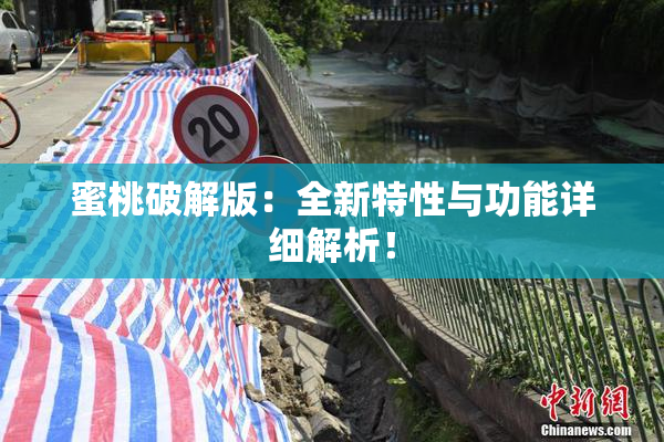 蜜桃破解版：全新特性与功能详细解析！