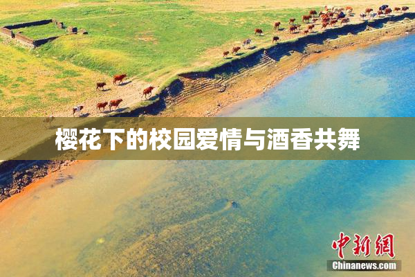樱花下的校园爱情与酒香共舞
