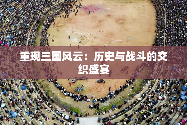 重现三国风云：历史与战斗的交织盛宴