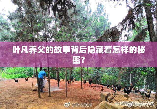 叶凡养父的故事背后隐藏着怎样的秘密？