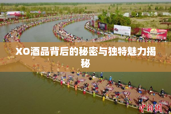 XO酒品背后的秘密与独特魅力揭秘