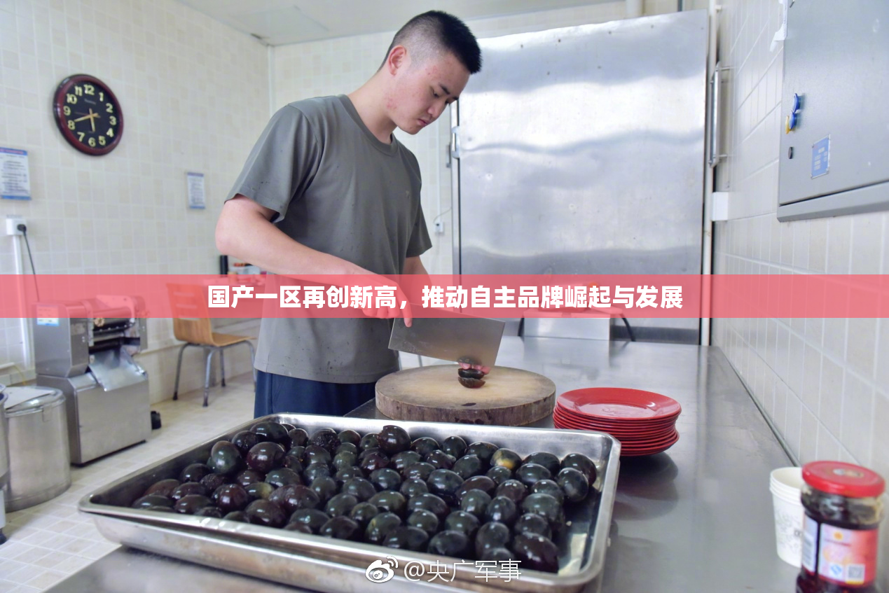 国产一区再创新高，推动自主品牌崛起与发展