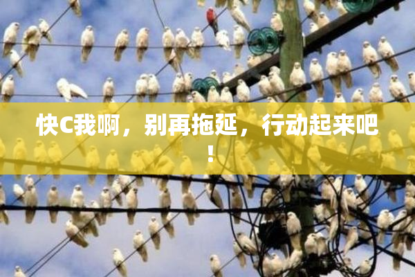 快C我啊，别再拖延，行动起来吧！