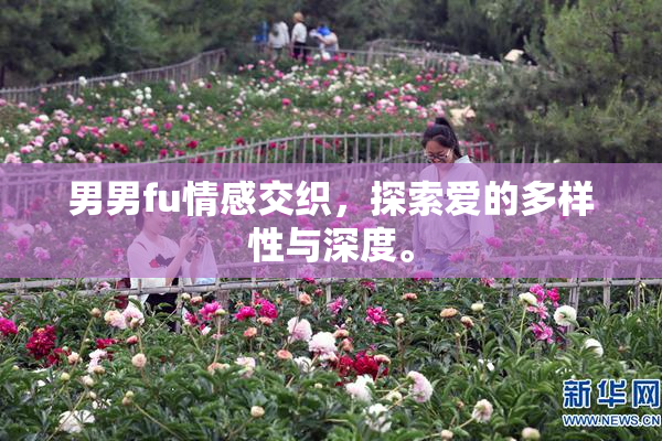 男男fu情感交织，探索爱的多样性与深度。