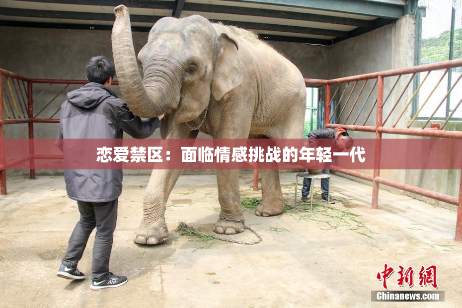 恋爱禁区：面临情感挑战的年轻一代