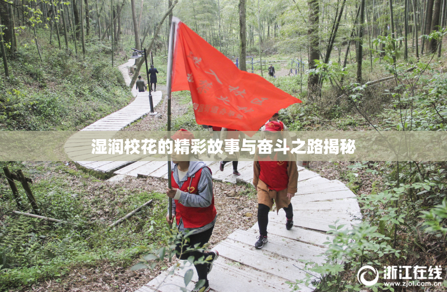 湿润校花的精彩故事与奋斗之路揭秘