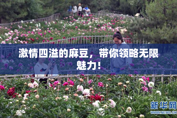 激情四溢的麻豆，带你领略无限魅力！